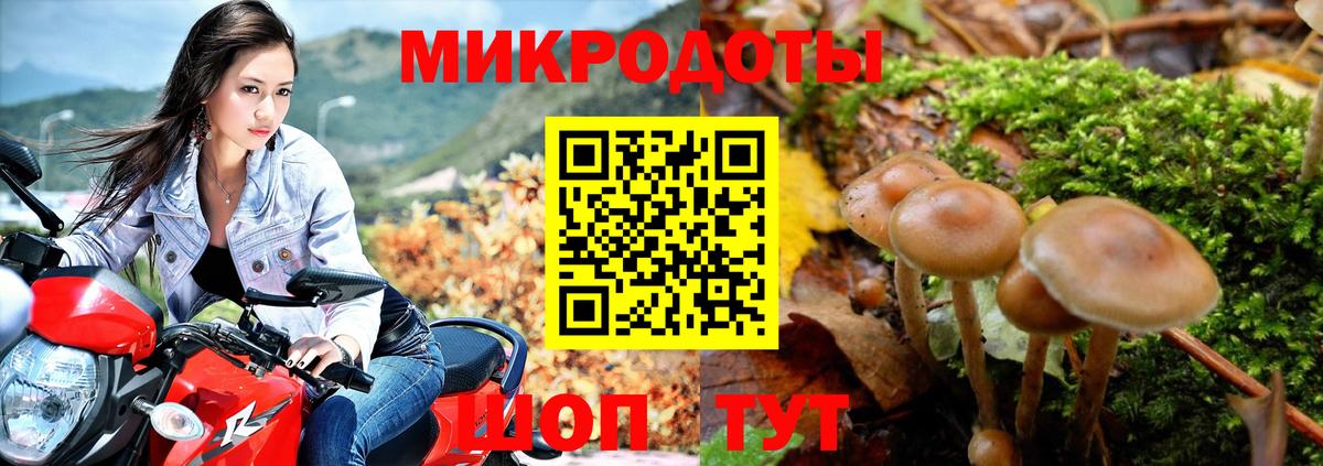 Сердобск  Галлюциногенные грибы Cubensis  Вход с VPN  Галлюциногенные грибы прущие грибы 
